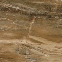 Плитка Fossil Savoia 31,6x31,6