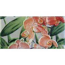 Orquideas Naranja Cenefa-2 20x10