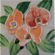 Orquideas Naranja Placa Decor 20x20