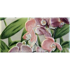 Orquideas Rosa Cenefa-2 10x20