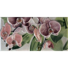 Orquideas Rosa Cenefa-3 10x20
