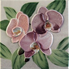Orquideas Rosa Placa Decor 20x20
