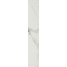 Ca Marmo White Polished 19,5x120